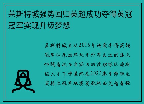莱斯特城强势回归英超成功夺得英冠冠军实现升级梦想
